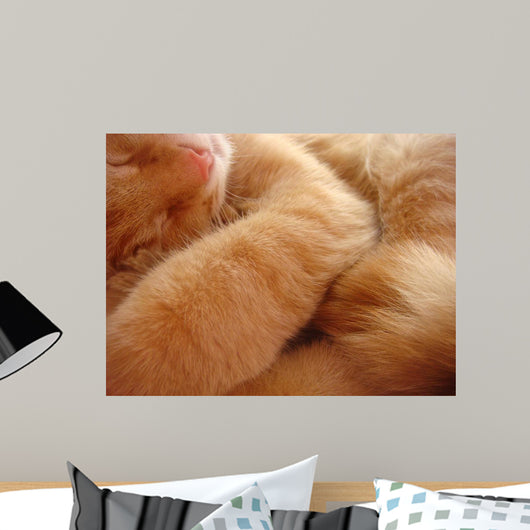Cat Called Love Wall Mural