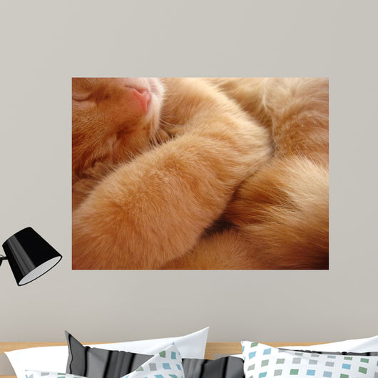 Cat Called Love Wall Mural