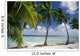 Palm Trees Across Beach Wall Mural