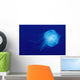 Hawaii, Translucent Jellyfish Floats In Deep Blue Water Wall Mural