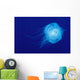 Hawaii, Translucent Jellyfish Floats In Deep Blue Water Wall Mural