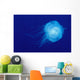 Hawaii, Translucent Jellyfish Floats In Deep Blue Water Wall Mural