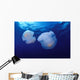 Marshall Islands, Kwajalein Atoll, Pair Of Jellyfish Wall Mural