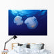 Marshall Islands, Kwajalein Atoll, Pair Of Jellyfish Wall Mural