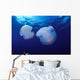 Marshall Islands, Kwajalein Atoll, Pair Of Jellyfish Wall Mural