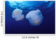 Marshall Islands, Kwajalein Atoll, Pair Of Jellyfish Wall Mural