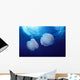Marshall Islands, Kwajalein Atoll, Pair Of Jellyfish Wall Mural