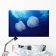 Marshall Islands, Kwajalein Atoll, Pair Of Jellyfish Wall Mural