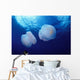 Marshall Islands, Kwajalein Atoll, Pair Of Jellyfish Wall Mural