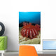 Thailand, Reef Scene With Crown-Of-Thorns Starfish Wall Mural