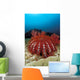 Thailand, Reef Scene With Crown-Of-Thorns Starfish Wall Mural
