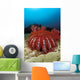 Thailand, Reef Scene With Crown-Of-Thorns Starfish Wall Mural