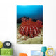 Thailand, Reef Scene With Crown-Of-Thorns Starfish Wall Mural