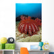 Thailand, Reef Scene With Crown-Of-Thorns Starfish Wall Mural