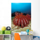 Thailand, Reef Scene With Crown-Of-Thorns Starfish Wall Mural