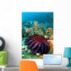 Thailand, Reef Scene With Crown-Of-Thorns Starfish Wall Mural