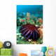 Thailand, Reef Scene With Crown-Of-Thorns Starfish Wall Mural