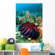 Thailand, Reef Scene With Crown-Of-Thorns Starfish Wall Mural
