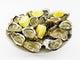 Plate of Oysters Wall Decal