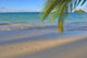 Footprints In The Sand At Lanikai Beach Palm Frond And Mokulua Islands Wall Mural