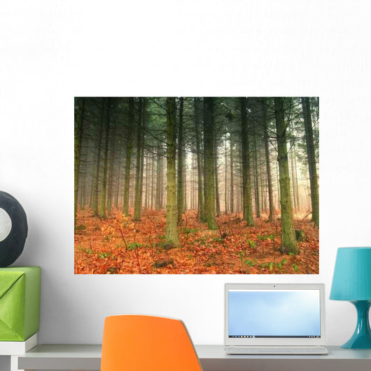 Autumn Forest Wall Decal Design 1