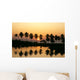 Reflections On Water Foreground A53F Wall Mural