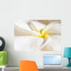 Extreme Close-Up Of White And Yellow Plumeria Flower From Side View Wall Mural
