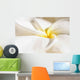 Extreme Close-Up Of White And Yellow Plumeria Flower From Side View Wall Mural