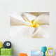 Extreme Close-Up Of White And Yellow Plumeria Flower From Side View Wall Mural