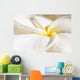 Extreme Close-Up Of White And Yellow Plumeria Flower From Side View Wall Mural