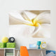 Extreme Close-Up Of White And Yellow Plumeria Flower From Side View Wall Mural