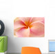 Close-Up Detail Of Pink And Orange Plumeria Flower Wall Mural