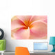 Close-Up Detail Of Pink And Orange Plumeria Flower Wall Mural