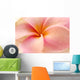 Close-Up Detail Of Pink And Orange Plumeria Flower Wall Mural