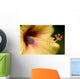 Extreme Close-Up Of Yellow And Red Hibiscus Flower With Stamen Wall Mural