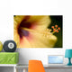 Extreme Close-Up Of Yellow And Red Hibiscus Flower With Stamen Wall Mural