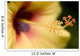 Extreme Close-Up Of Yellow And Red Hibiscus Flower With Stamen Wall Mural