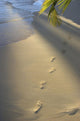 Footprints In Sand At Water's Edge, Soft Warm Golden Light Wall Mural