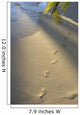 Footprints In Sand At Water's Edge, Soft Warm Golden Light Wall Mural