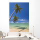 Palm Trees Lean And Cast Shadow On Beach Wall Mural