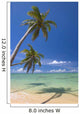 Palm Trees Lean And Cast Shadow On Beach Wall Mural