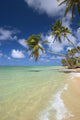 Warm Turquoise Ocean Wall Mural