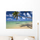 Lone Palm Tree Leaning Over Beach With Shadow Wall Mural