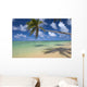 Lone Palm Tree Leaning Over Beach With Shadow Wall Mural