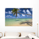 Lone Palm Tree Leaning Over Beach With Shadow Wall Mural