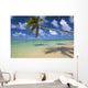 Lone Palm Tree Leaning Over Beach With Shadow Wall Mural
