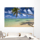 Lone Palm Tree Leaning Over Beach With Shadow Wall Mural