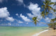 Hawaii, Palm Tree Leaning Over Beach, Polarized Sky, Turquoise Ocean Wall Mural
