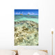 Hawaii, Oahu, Lanikai, Mokulua Islands, Coral Head Wall Mural