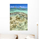 Hawaii, Oahu, Lanikai, Mokulua Islands, Coral Head Wall Mural